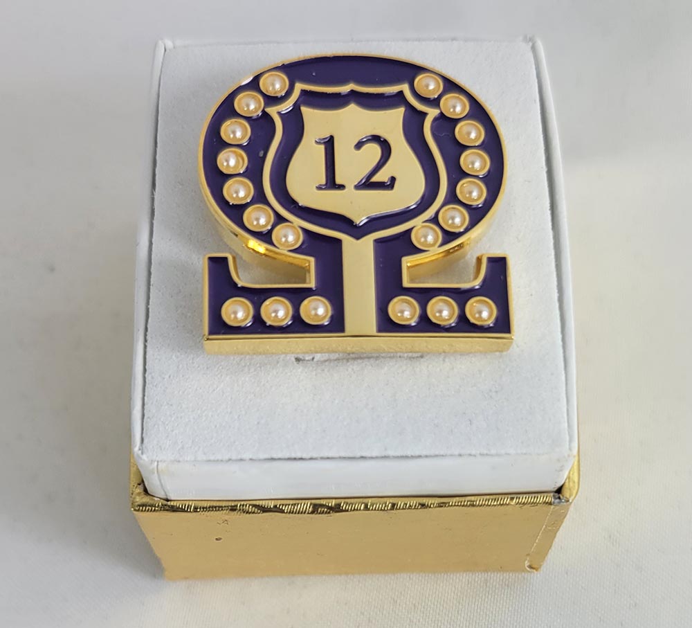 #12 Line Number Omega Shield Baroque Gem Lapel Pin