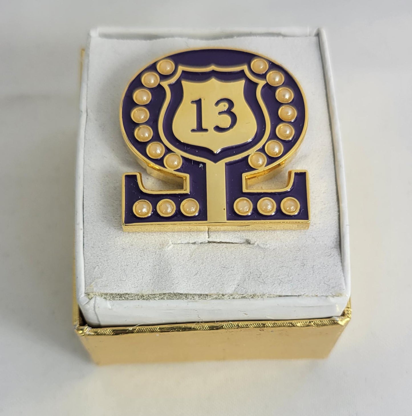 #13 Line Number Omega Shield Baroque Gem Lapel Pin