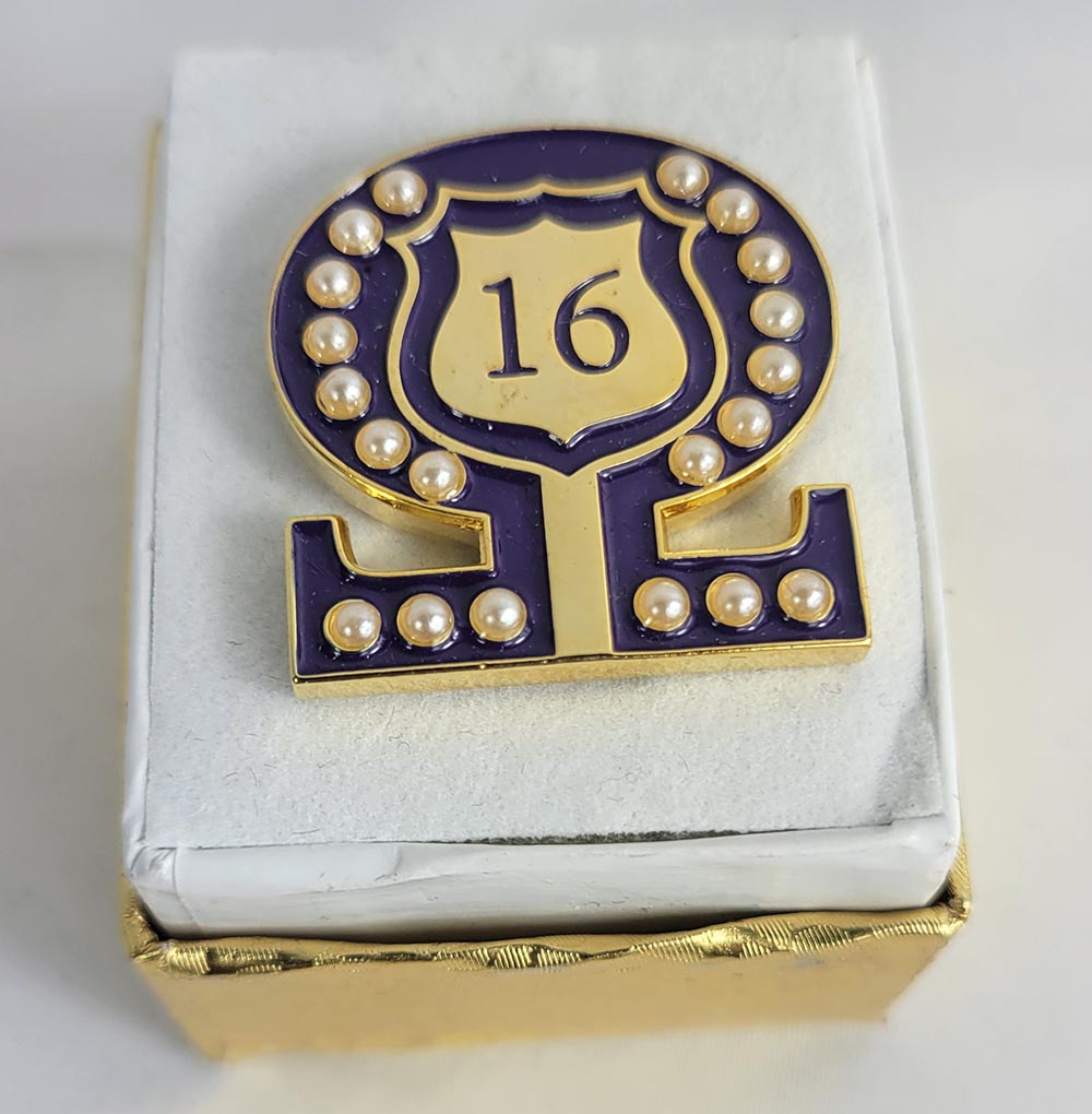 #16 Line Number Omega Shield Baroque Gem Lapel Pin