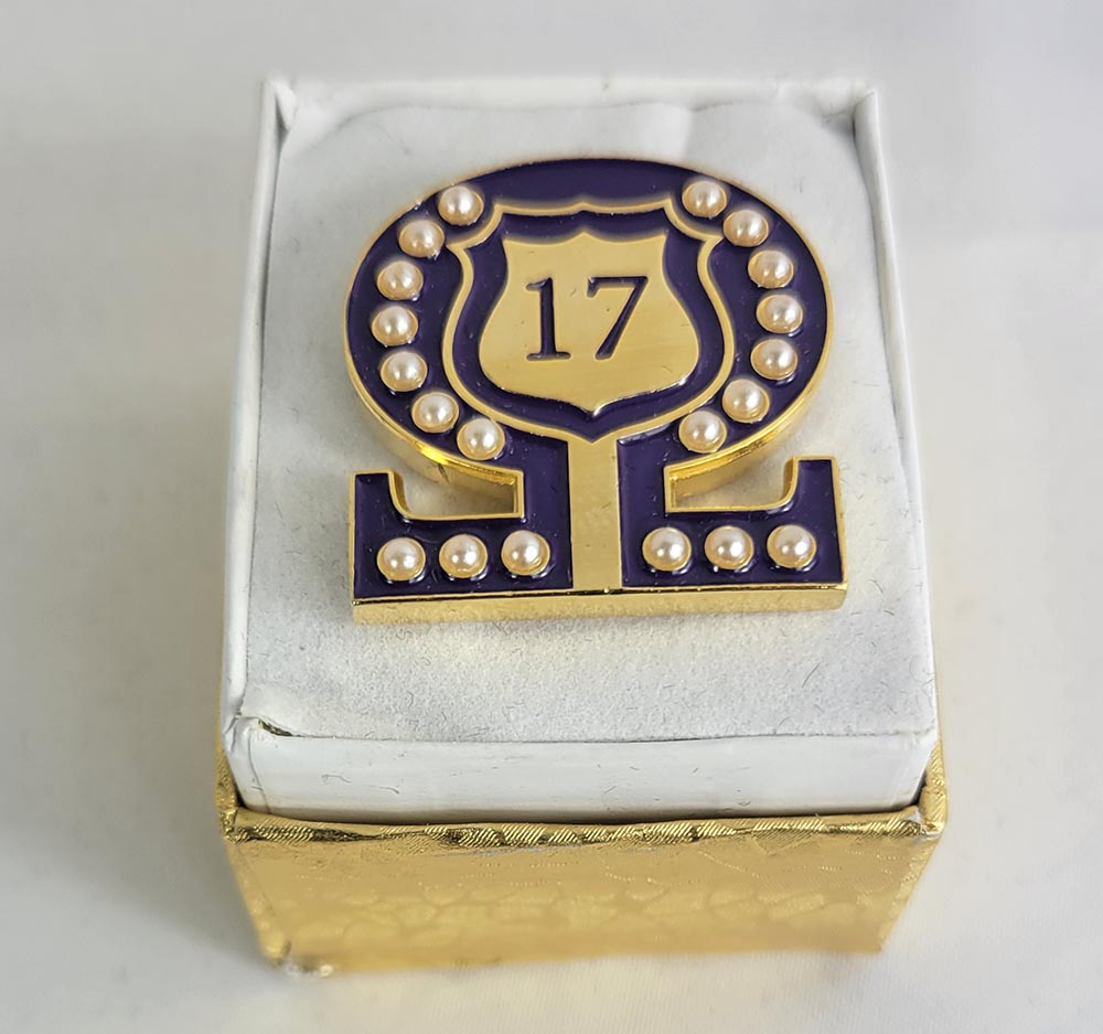 #17 Line Number Omega Shield Baroque Gem Lapel Pin