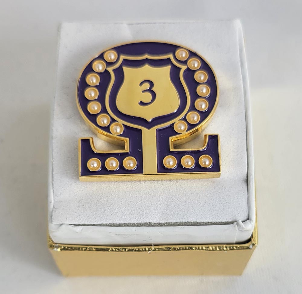 #3 Line Number Omega Shield Baroque Gem Lapel Pin