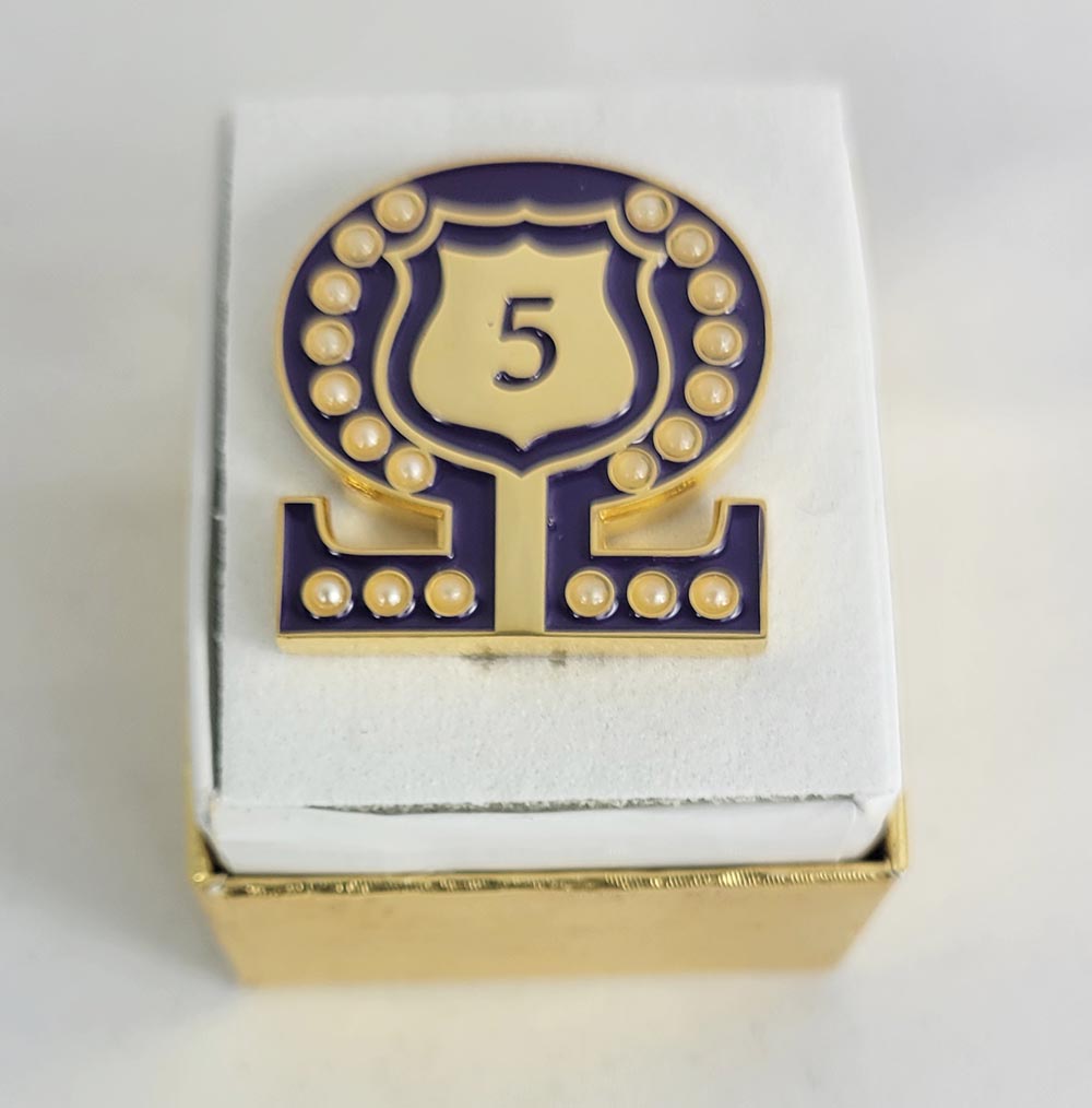 #5 Line Number Omega Shield Baroque Gem Lapel Pin