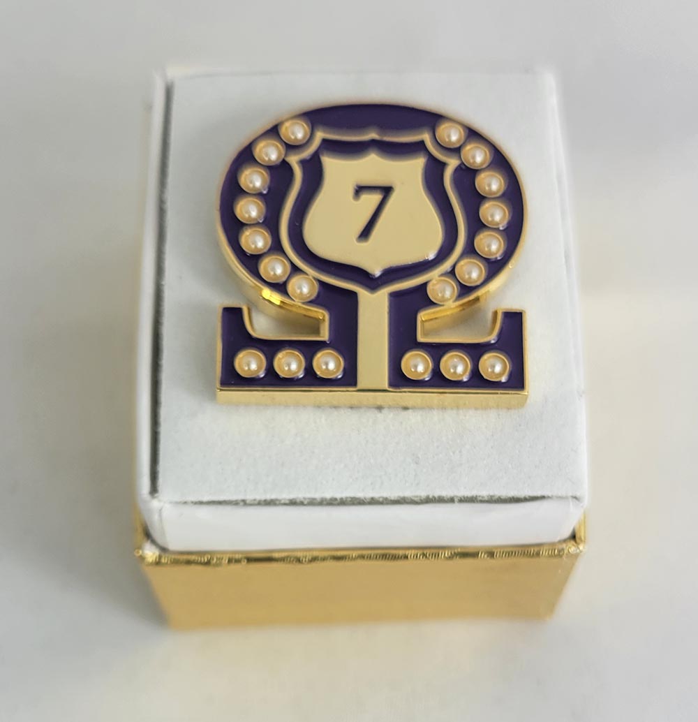 #7 Line Number Omega Shield Baroque Gem Lapel Pin