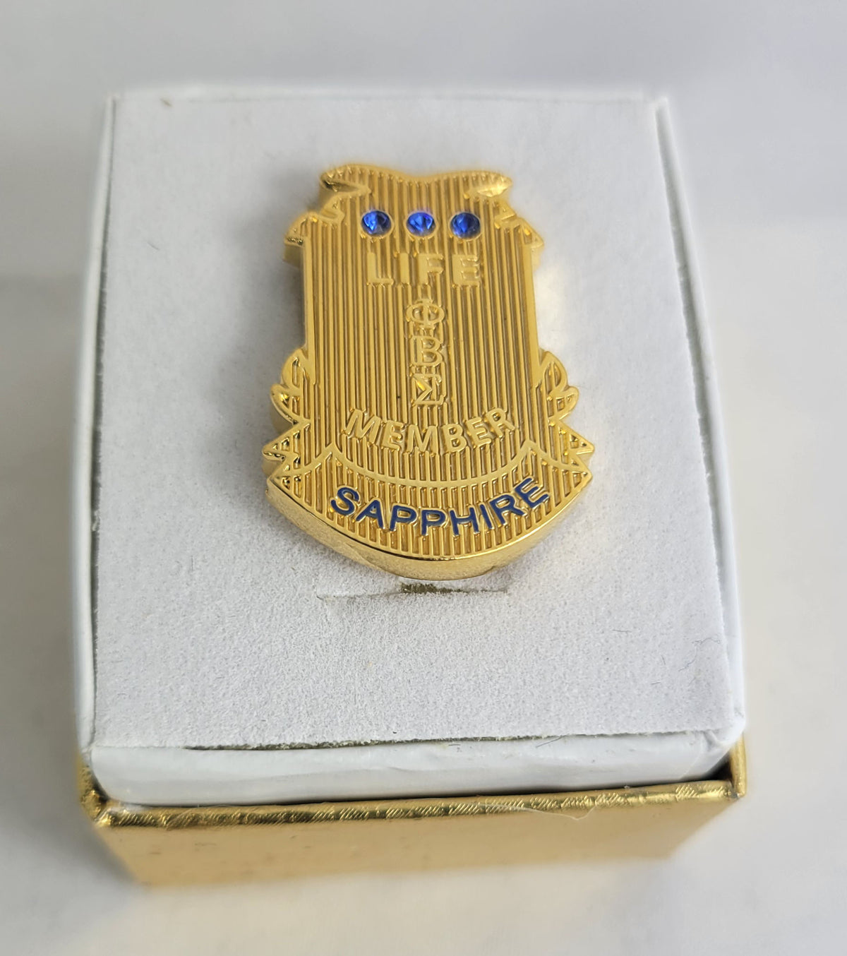 Pbs Sapphire Stone Life Member Lapel Pin