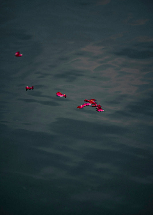 a group of red and white objects floating in the sky