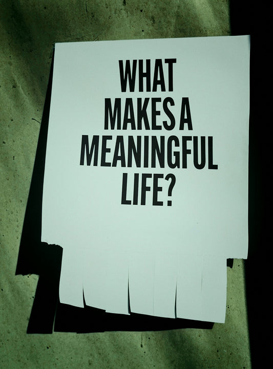 A paper with what makes a meaningful life? text