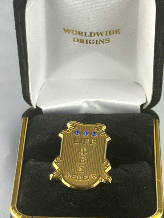 Pbs Gold Stone Life Member Lapel Pin