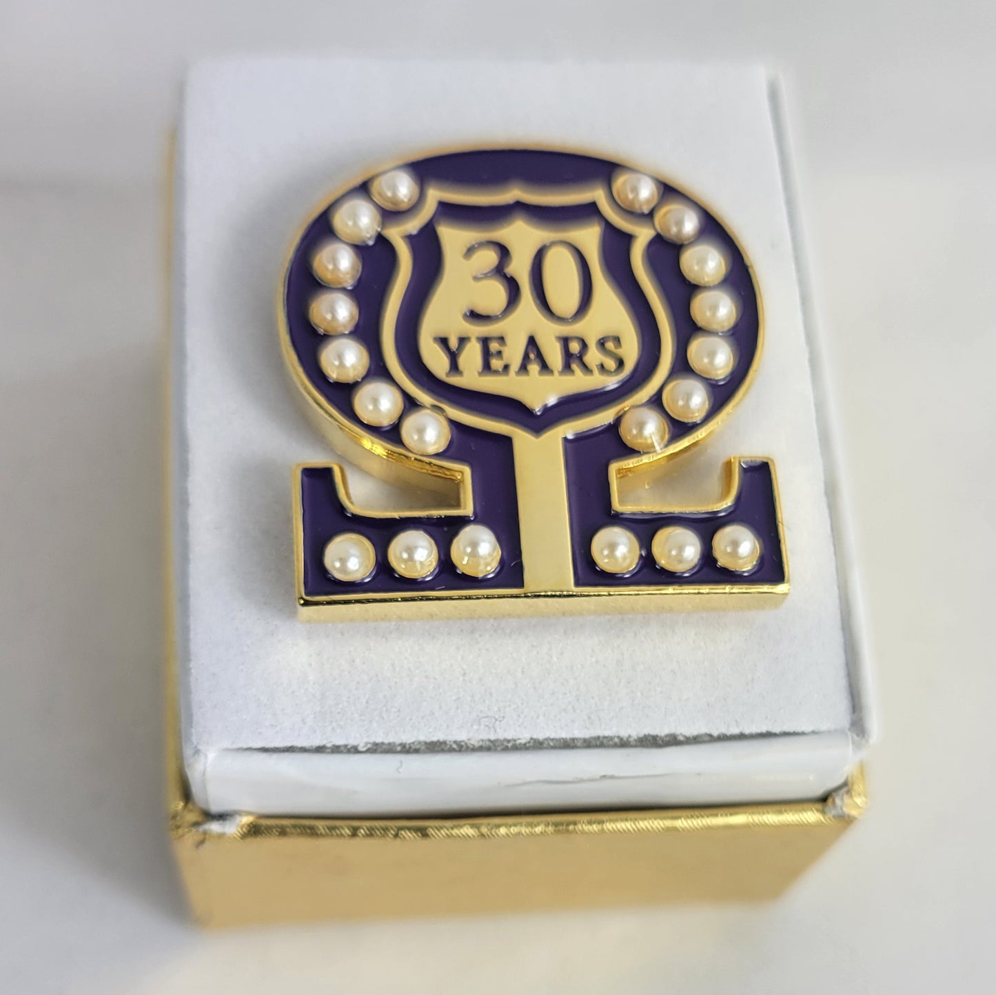 30 Year Omega Shield Baroque Gem Lapel Pin