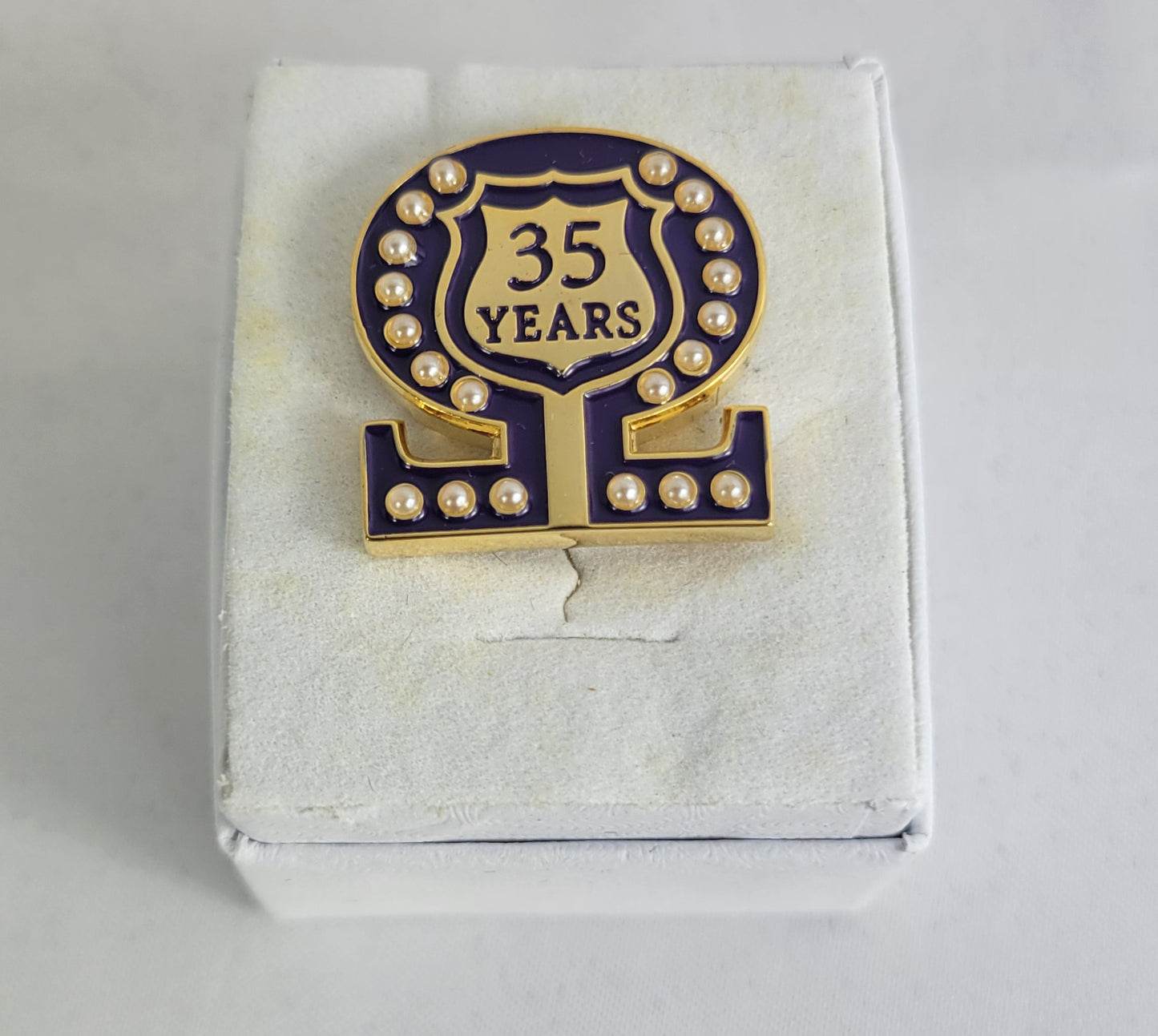 35 Year Omega Shield Baroque Gem Lapel Pin