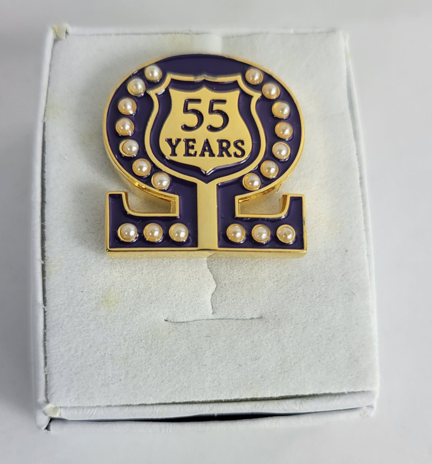 55 Year Omega Shield Baroque Gem Lapel Pin
