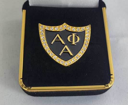 A Phi A 3 letter Triangle Stone Lapel Pin