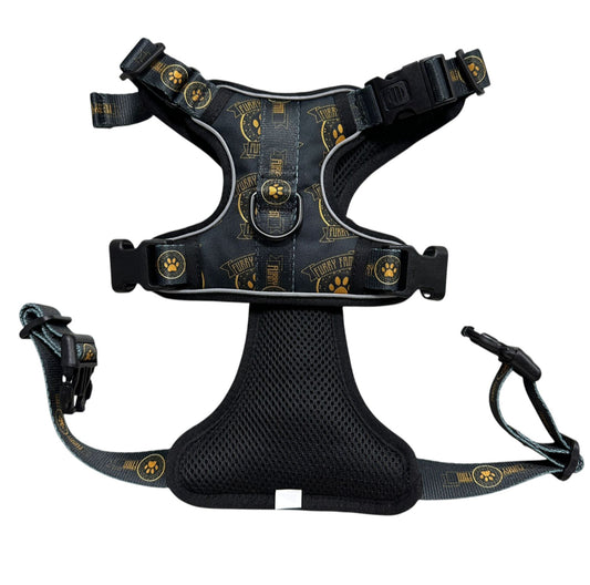 Furry Fam Black and Gold Harness