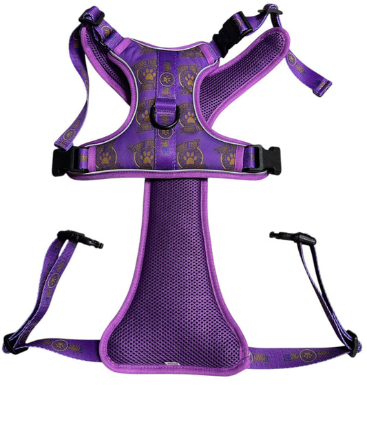 Furry Fam Purple and Gold Harness