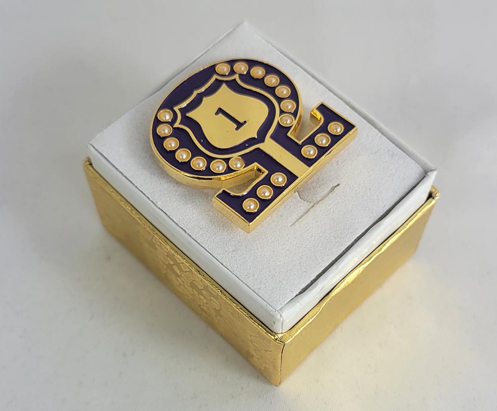 #1 Line Number Omega Shield Baroque Gem Lapel Pin