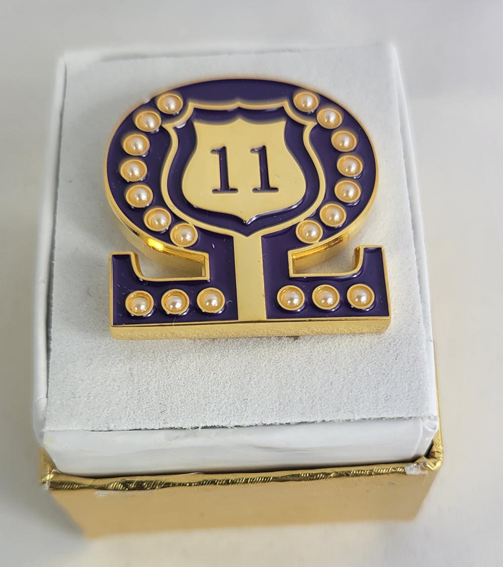 #11 Line Number Omega Shield Baroque Gem Lapel Pin
