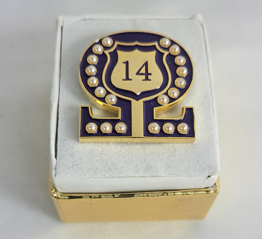 #14 Line Number Omega Shield Baroque Gem Lapel Pin