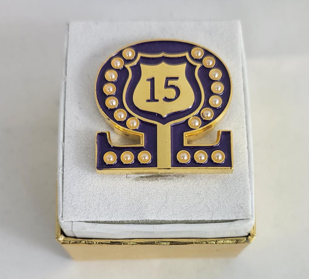 #15 Line Number Omega Shield Baroque Gem Lapel Pin