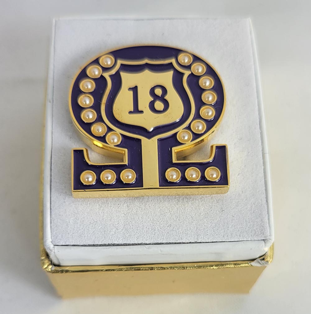 #18 Line Number Omega Shield Baroque Gem Lapel Pin
