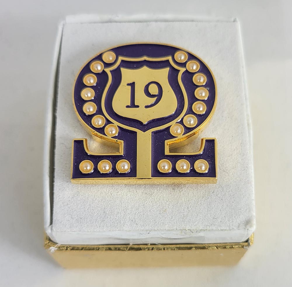 #19 Line Number Omega Shield Baroque Gem Lapel Pin
