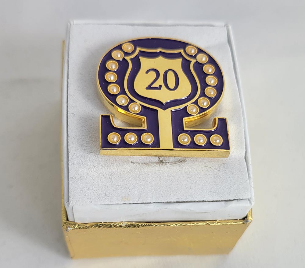 #20 Line Number Omega Shield Baroque Gem Lapel Pin