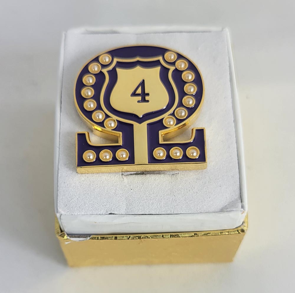 #4 Line Number Omega Shield Baroque Gem Lapel Pin