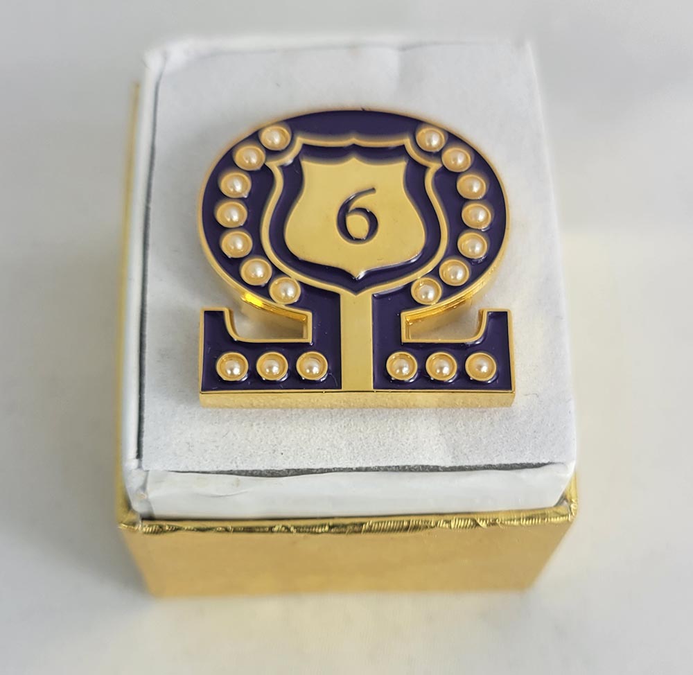 #6 Line Number Omega Shield Baroque Gem Lapel Pin