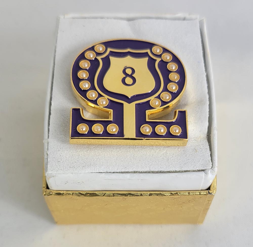 #8 Line Number Omega Shield Baroque Gem Lapel Pin