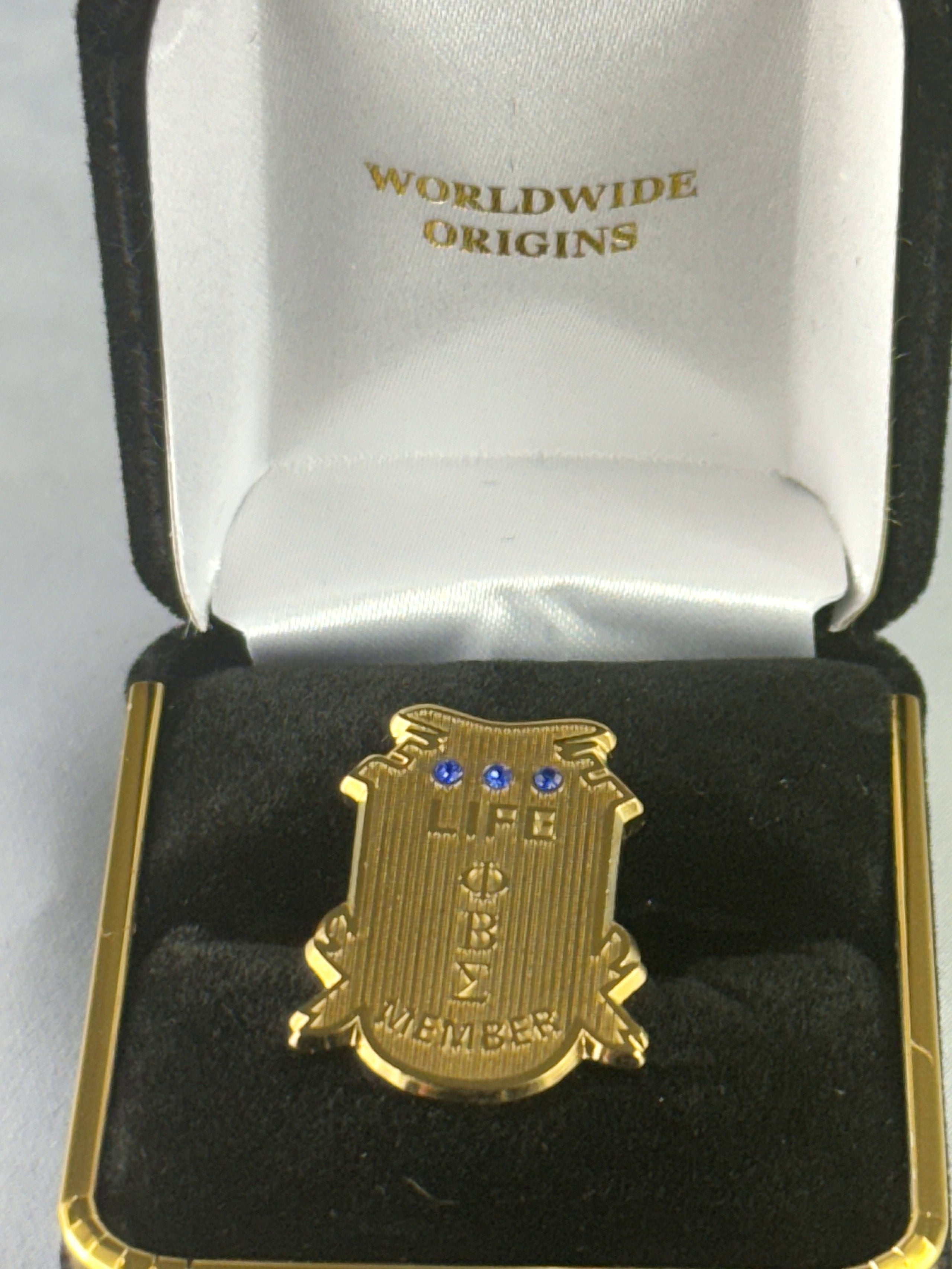 Life Pin Pbs Gold Stone Life Member Lapel Pin – Worldwide Origins